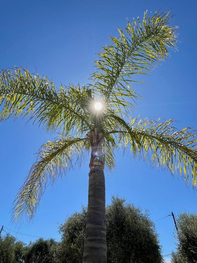 Villa Syagrus - Easy Nizza