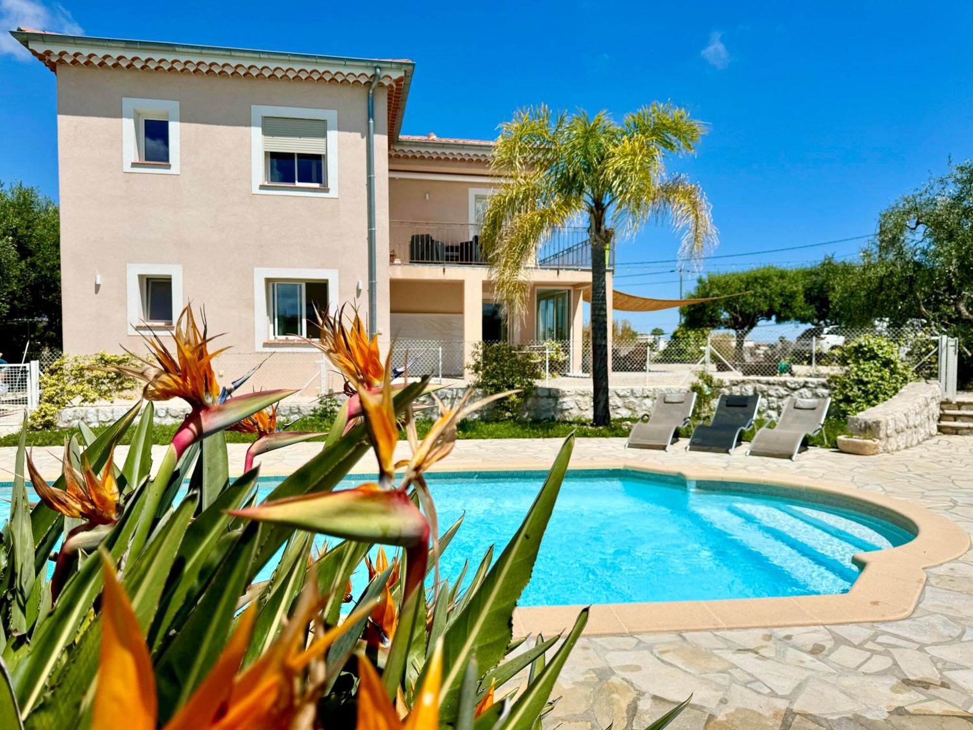 Syagrus - Easy Nizza